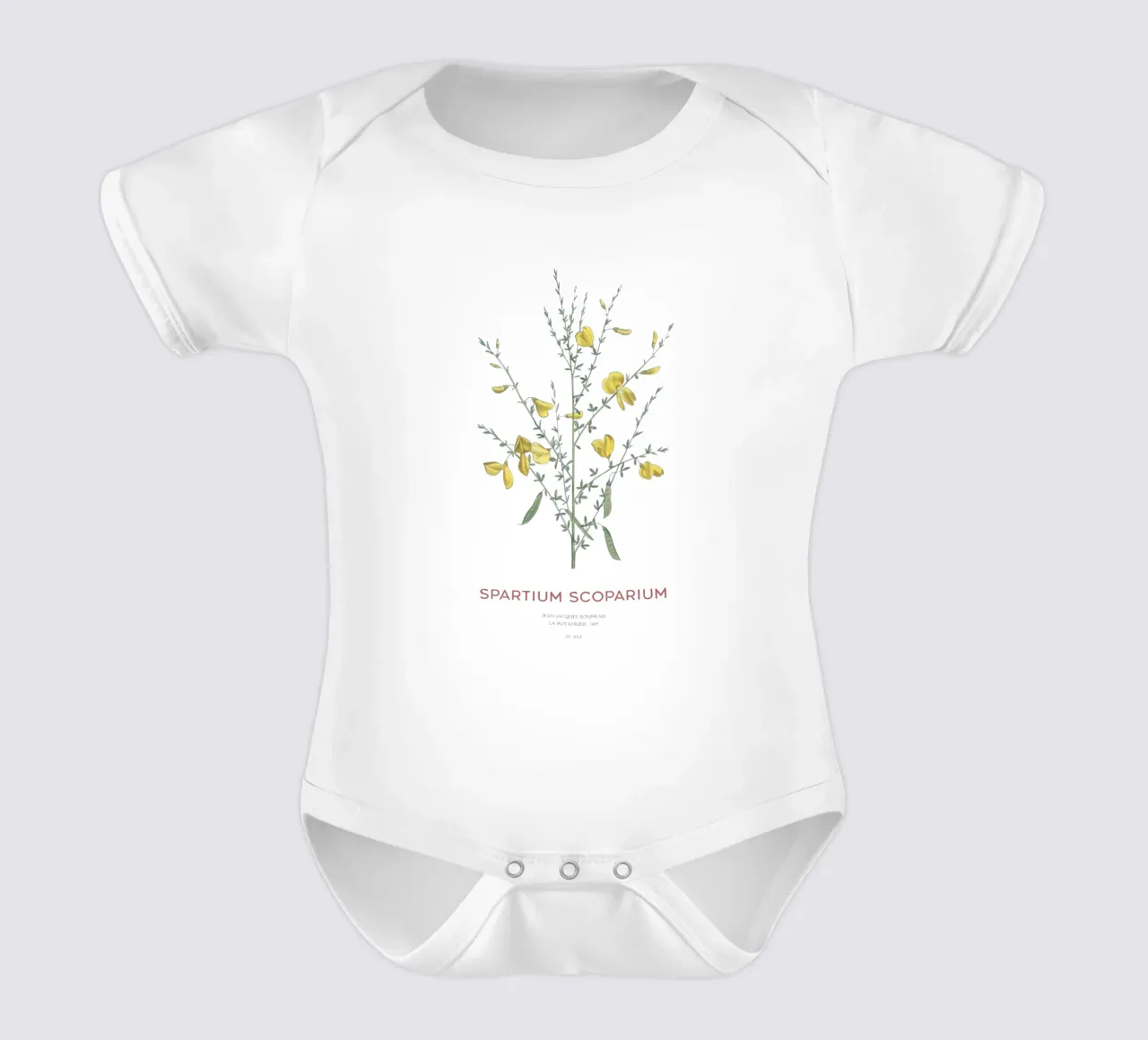 Ginster oder Spartium scoparium Kurzarm Babybody von Vintagrafica