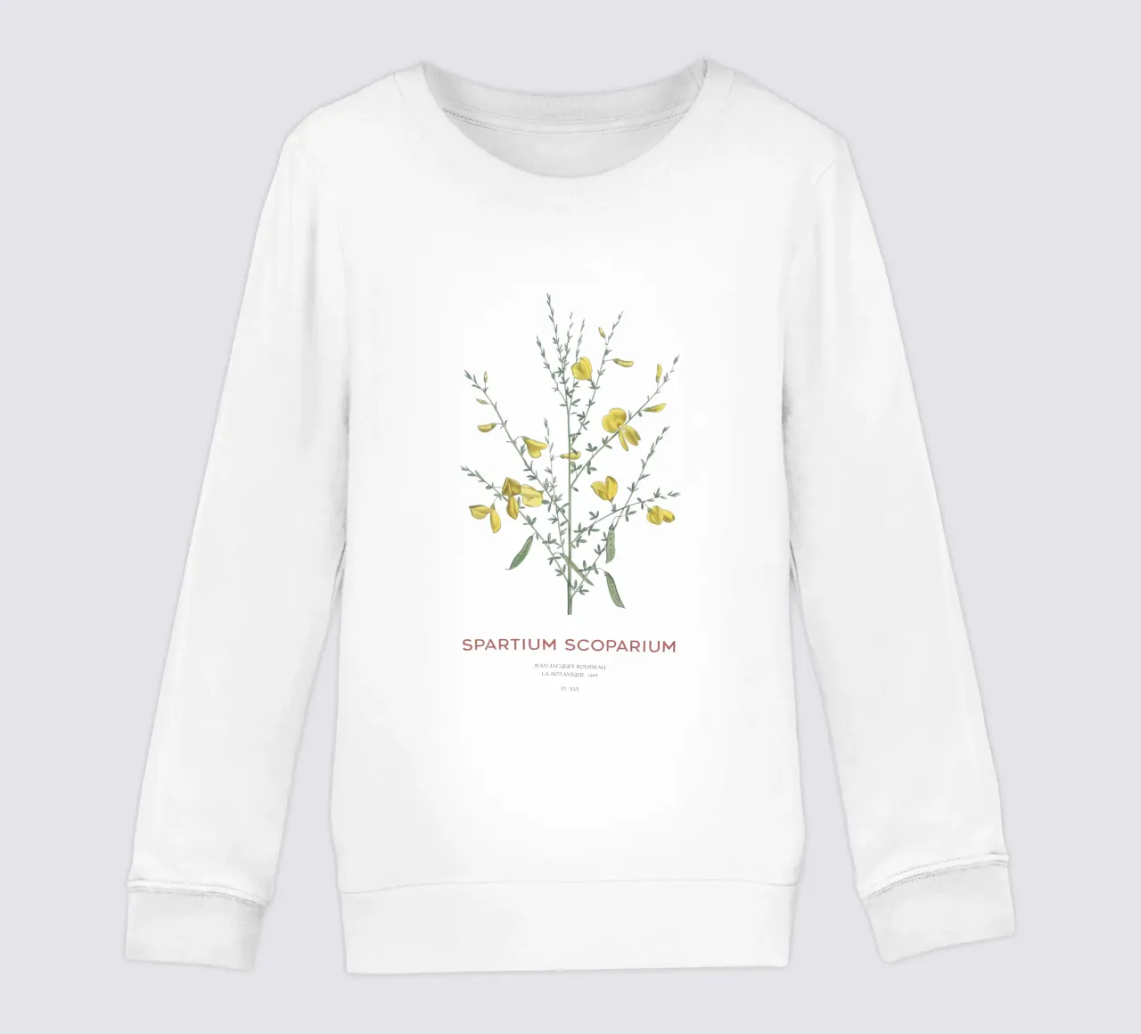 Scotch broom or Spartium scoparium kids sweatshirt by Vintagrafica