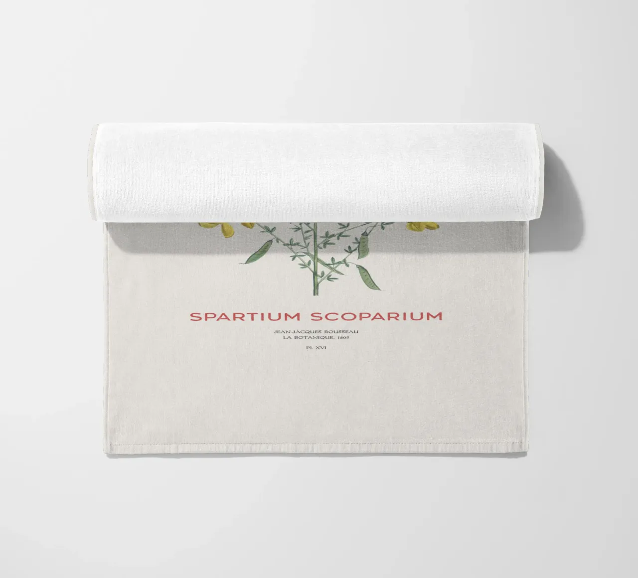 Ginster oder Spartium scoparium Strandtuch von Vintagrafica