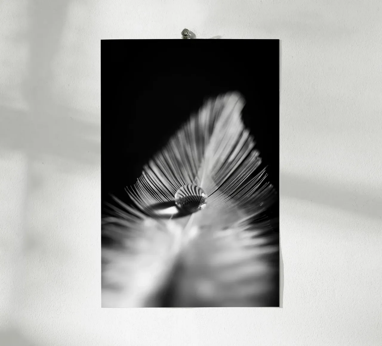 Wasserperle auf feiner Feder, schwarz weiß poster with wooden frame by Stina Freytag