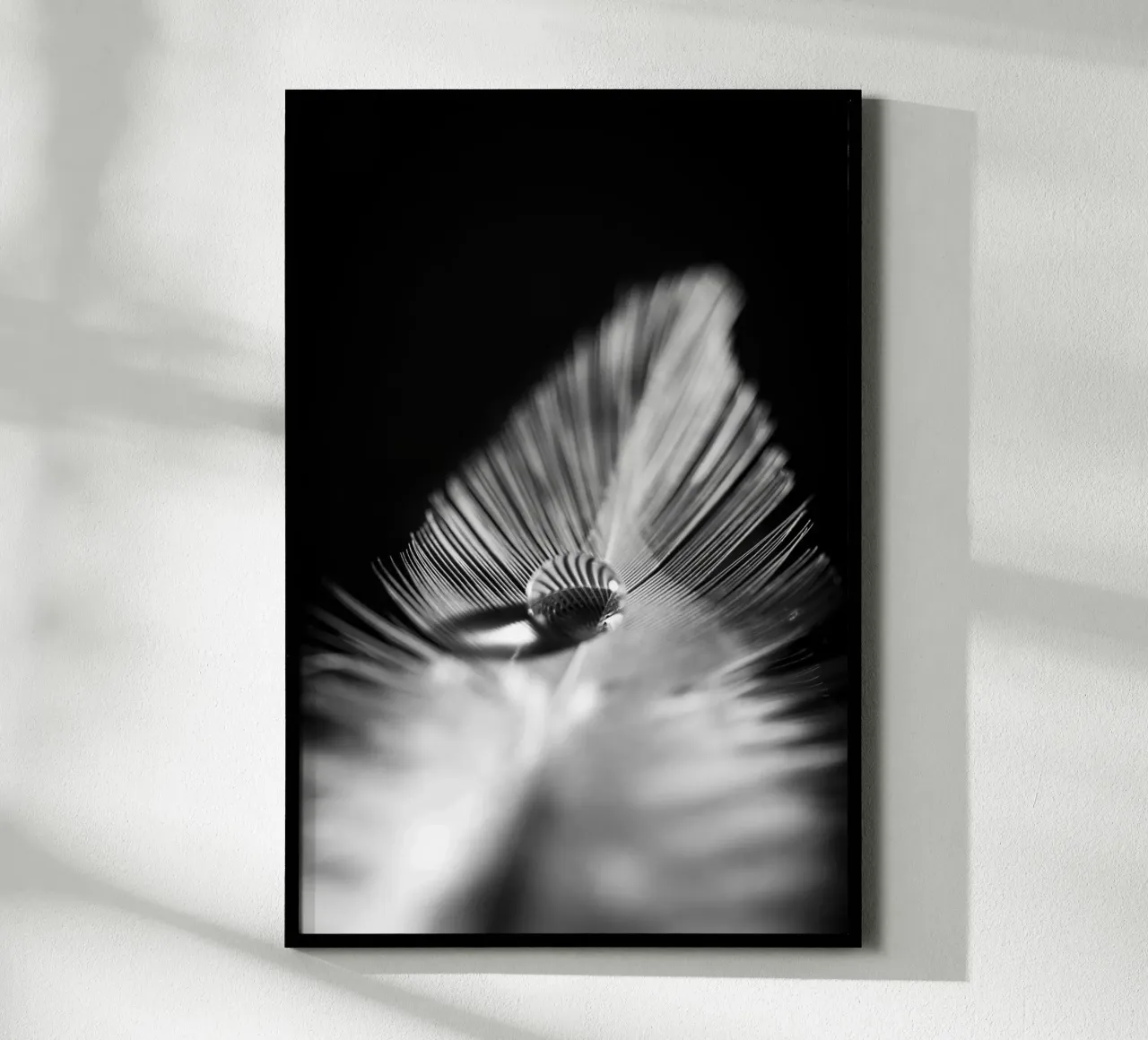 Wasserperle auf feiner Feder, schwarz weiß poster with wooden frame by Stina Freytag