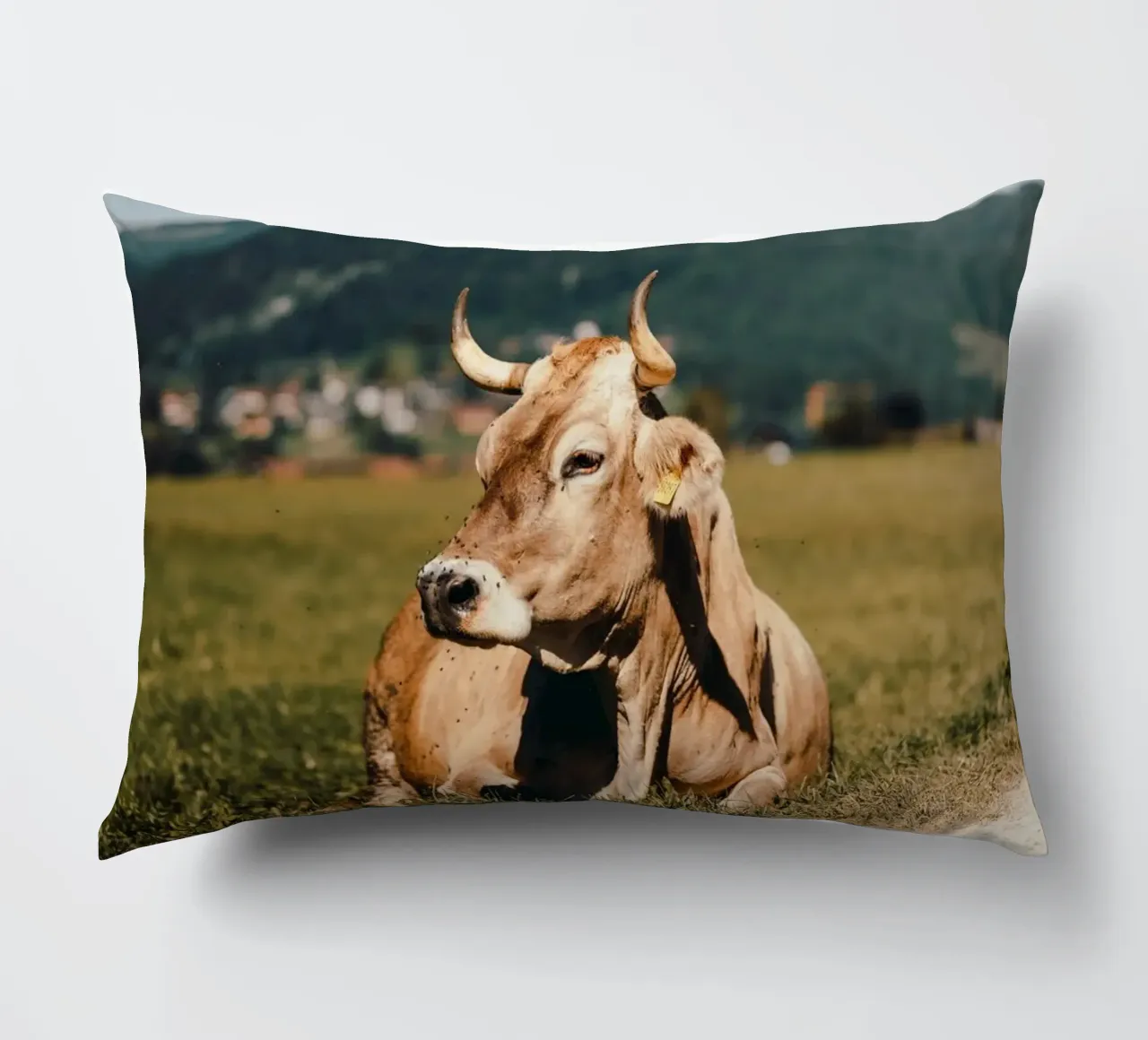 Kuh in Österreich liegend auf einer Wiese cuscino da Stina Freytag