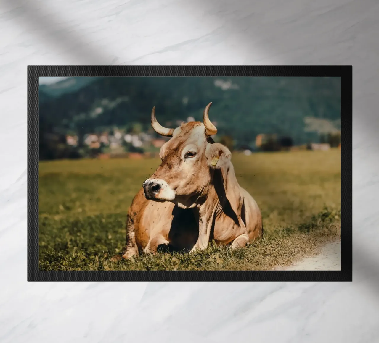 Kuh in Österreich liegend auf einer Wiese zerbino da Stina Freytag