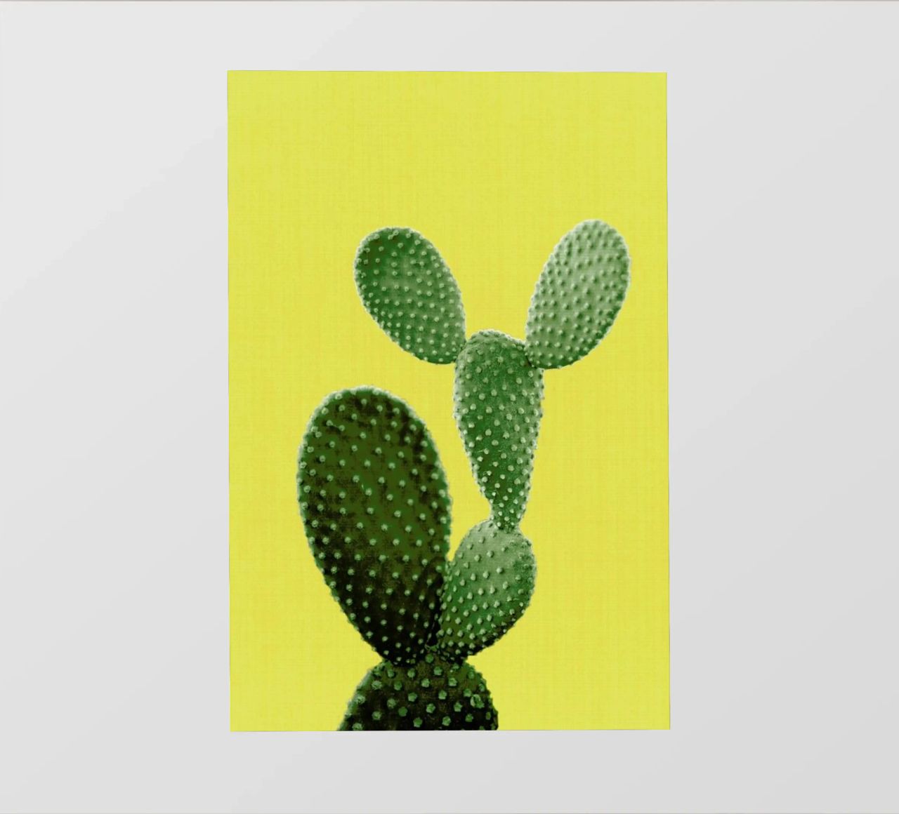 Print 87 pellicola backlit da Lila x Lola
