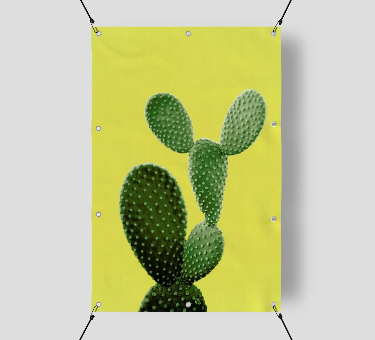 Print 87 lonas publicitarias de Lila x Lola