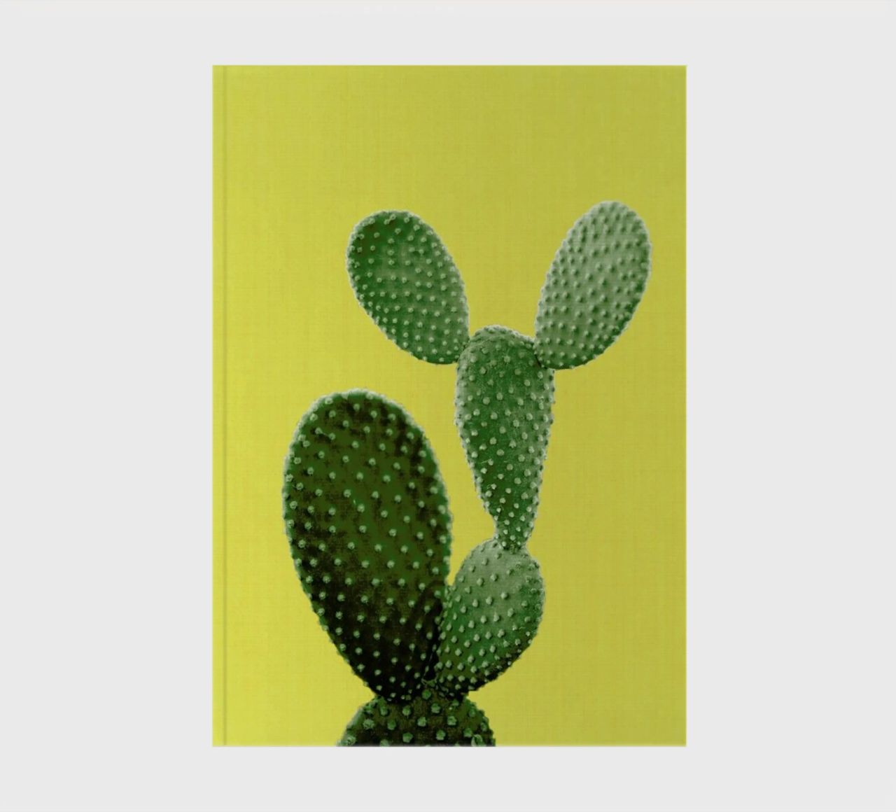 Print 87 notebook by Lila x Lola
