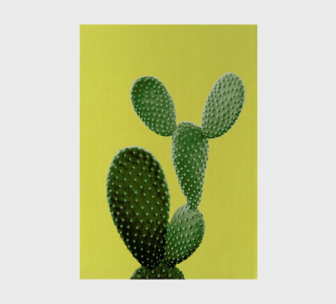 Print 87 notebook by Lila x Lola