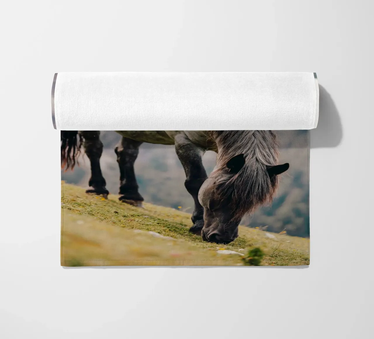 Pferd in Österreich aus einer Weide in den Bergen, Kaltblüte telo mare da Stina Freytag