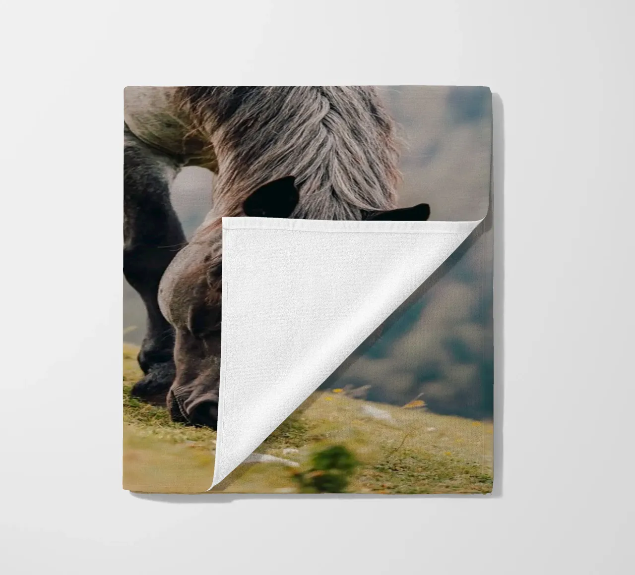 Pferd in Österreich aus einer Weide in den Bergen, Kaltblüte telo mare da Stina Freytag