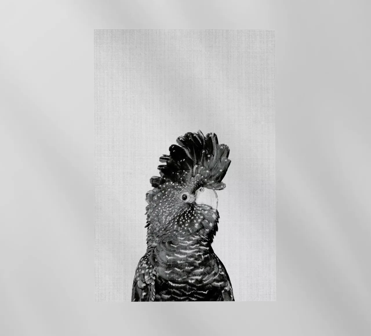 Print 66 pellicola backlit da Lila & Lola