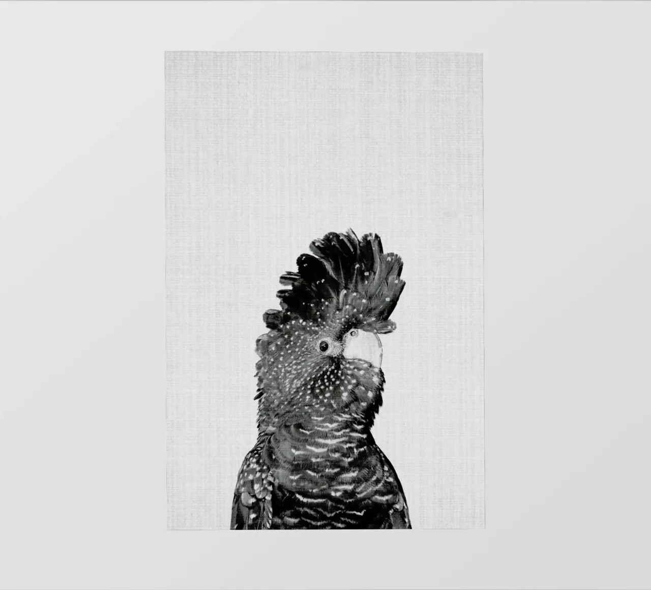 Print 66 pellicola backlit da Lila & Lola