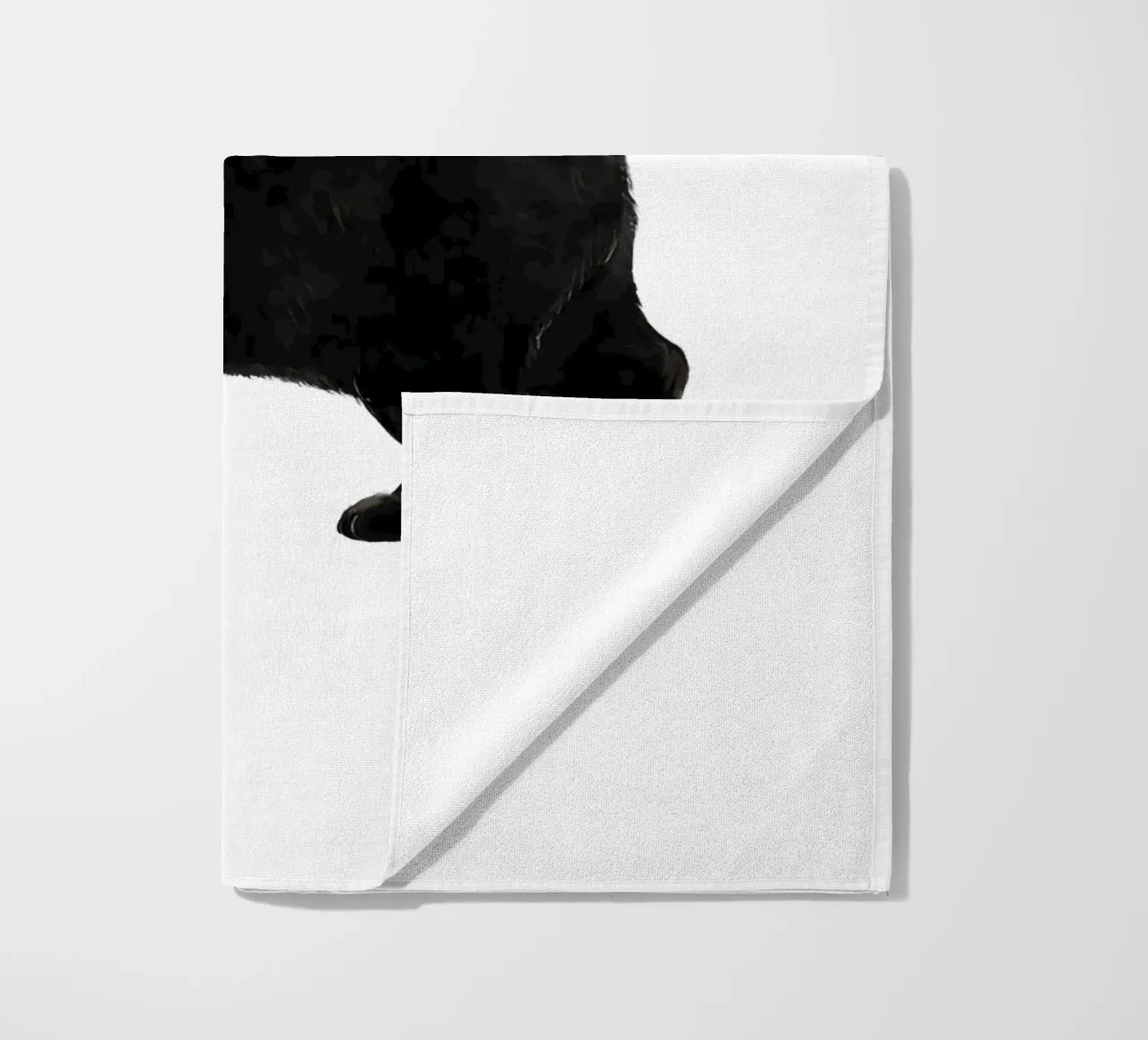 Coltello Gatto telo mare da Laura Graves