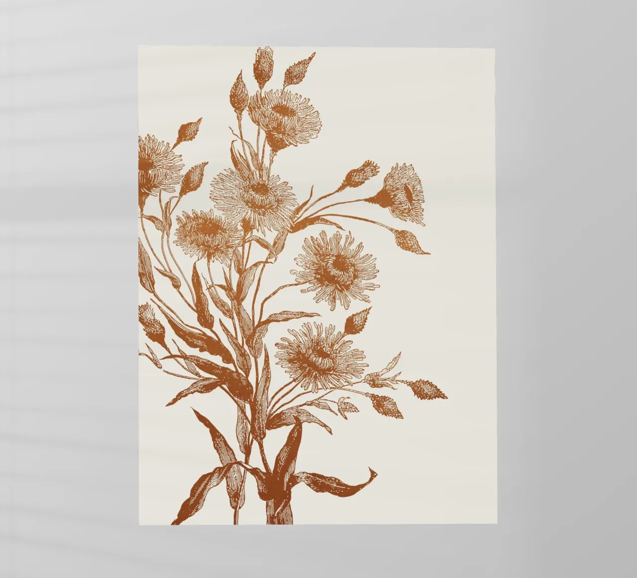 Aster flower sketch pellicola backlit da apoloprints
