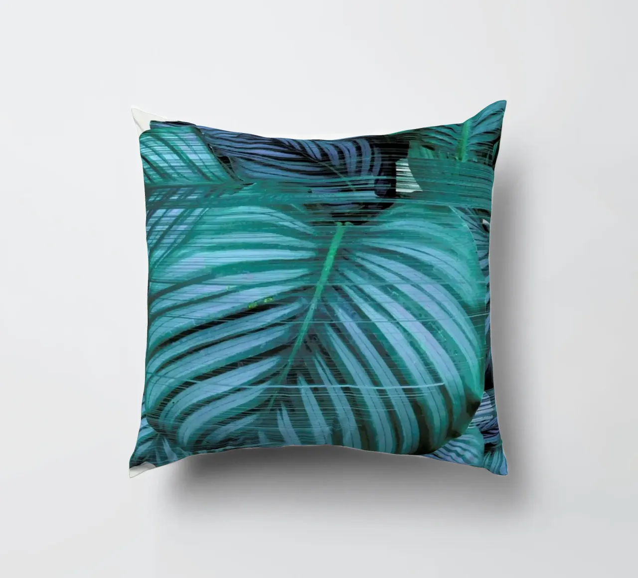 Fast Calatea cuscino da Adam Priester