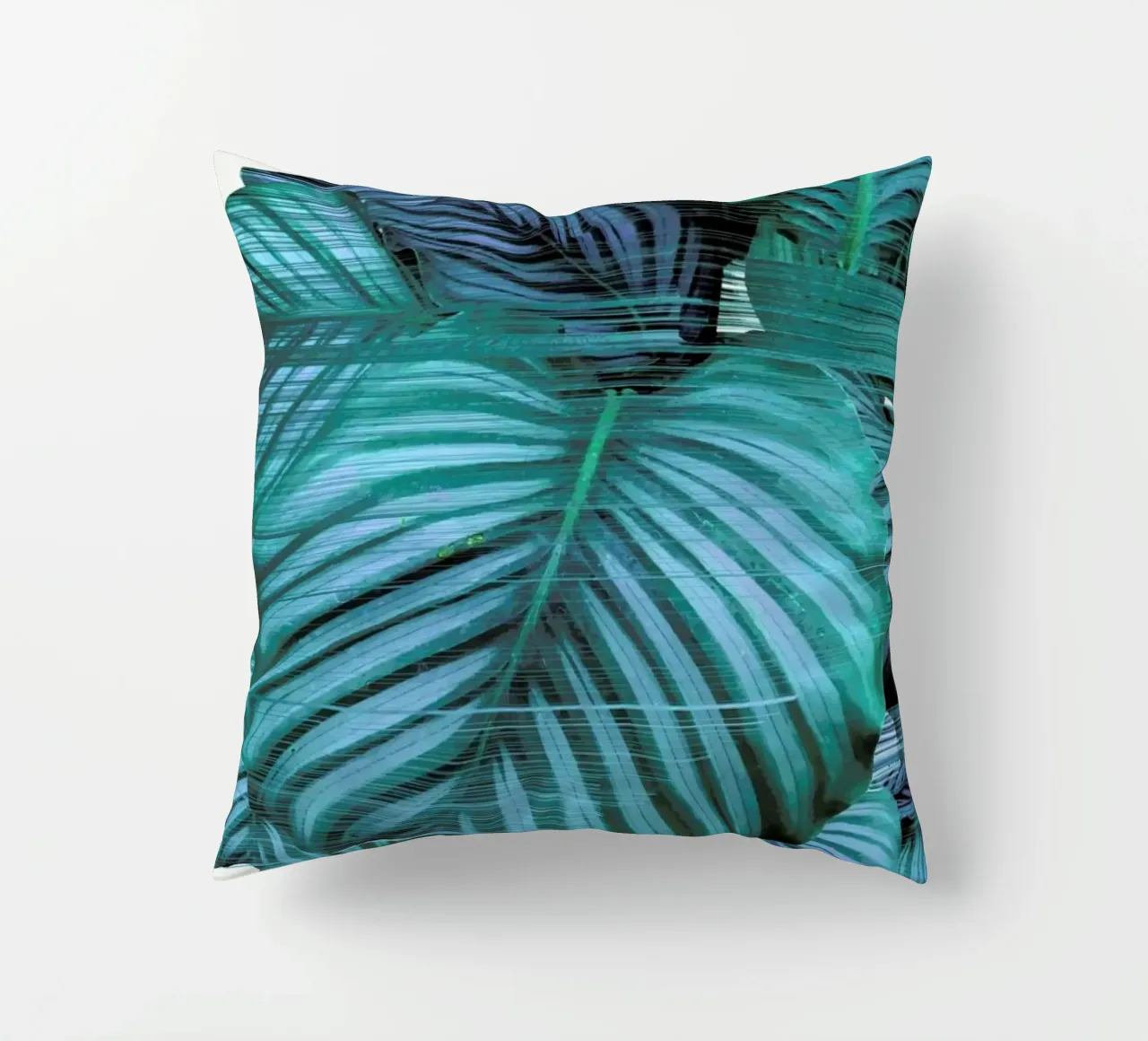 Fast Calatea cuscino da Adam Priester