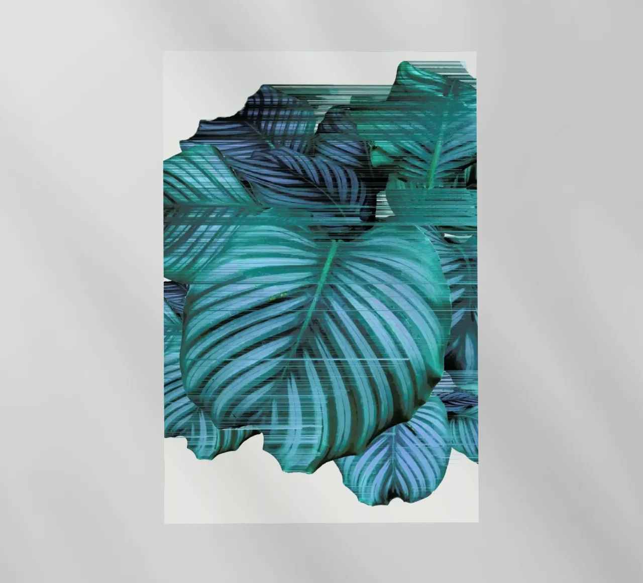 Fast Calatea pellicola backlit da Adam Priester