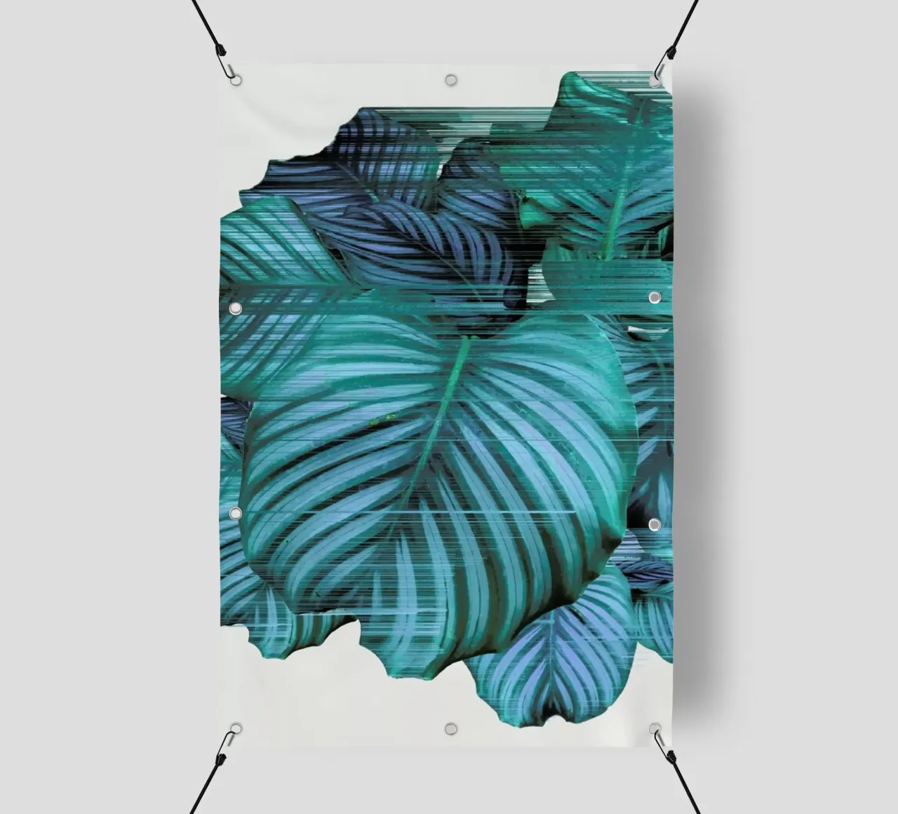 Fast Calatea telo in pvc da Adam Priester