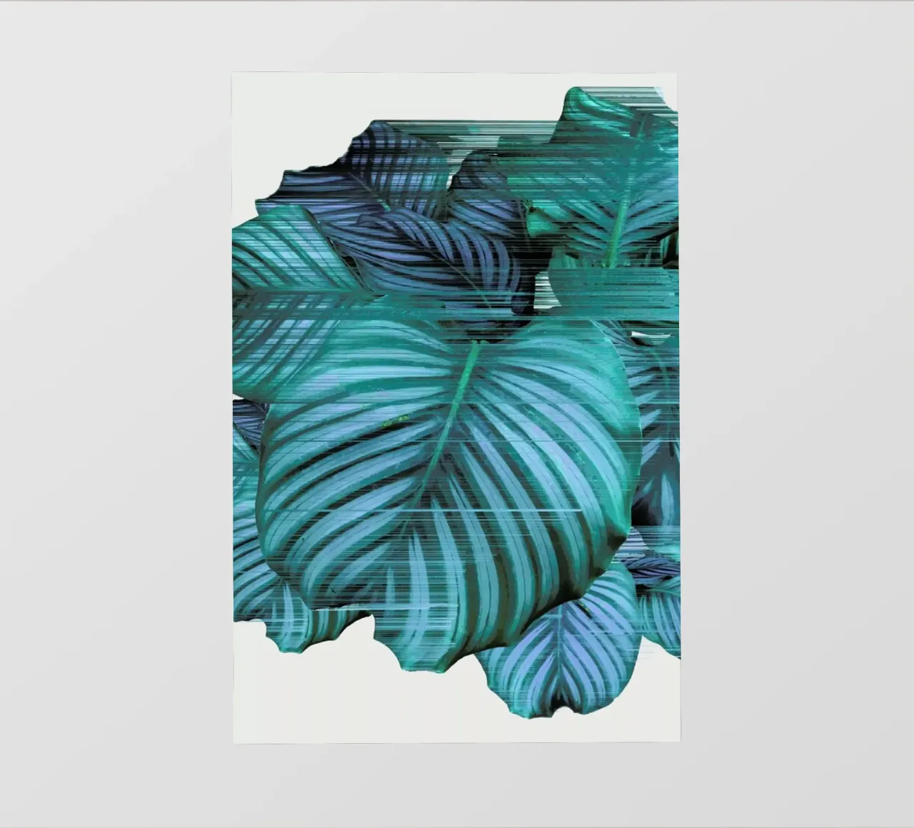 Fast Calatea telo in pvc da Adam Priester