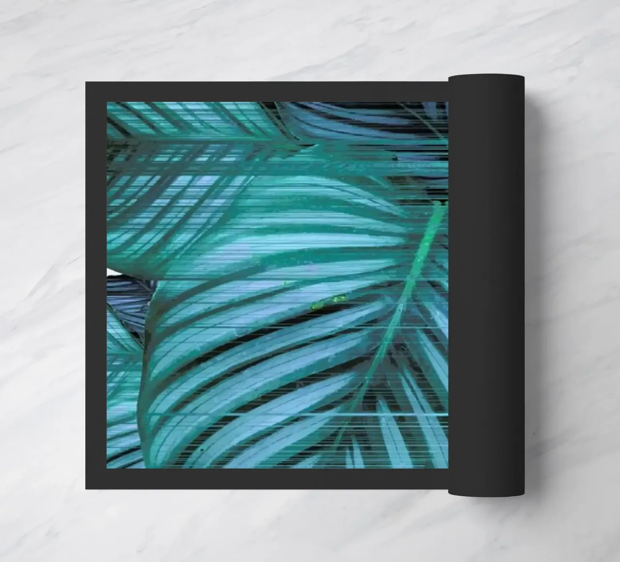 Fast Calatea zerbino da Adam Priester