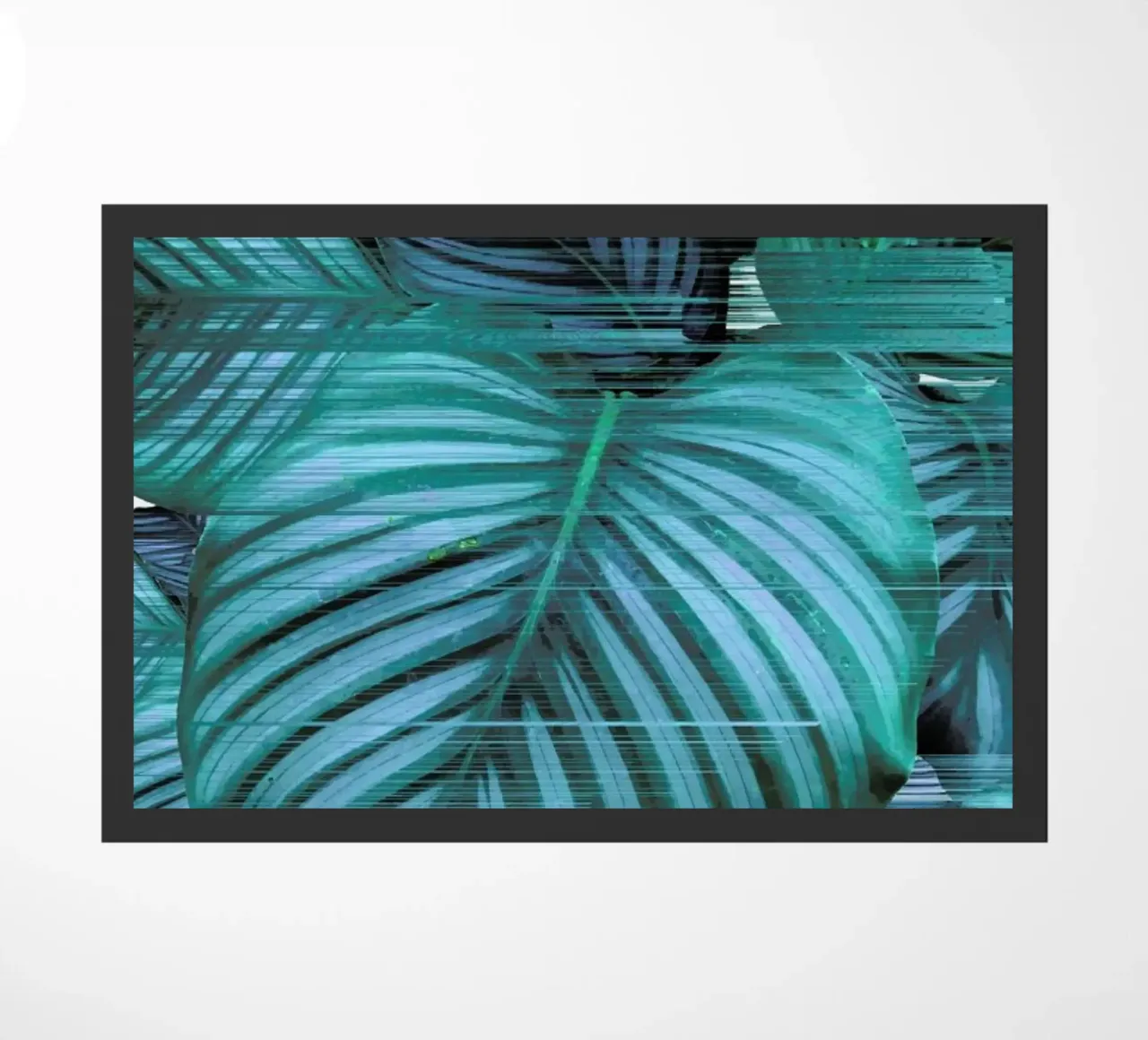 Fast Calatea zerbino da Adam Priester