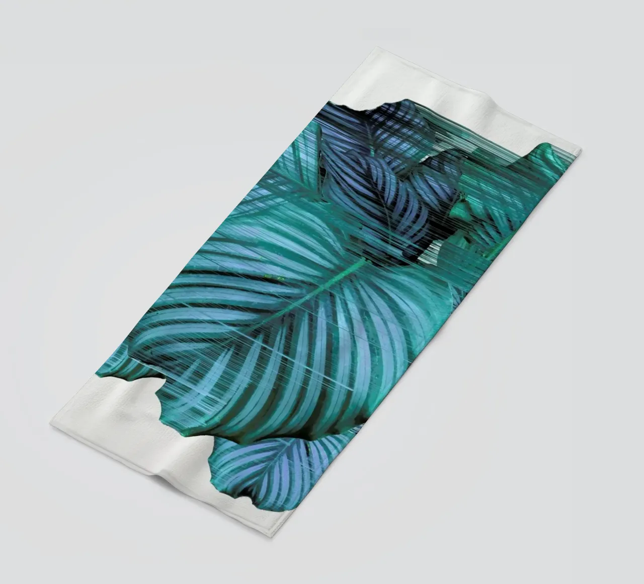 Fast Calatea telo mare da Adam Priester