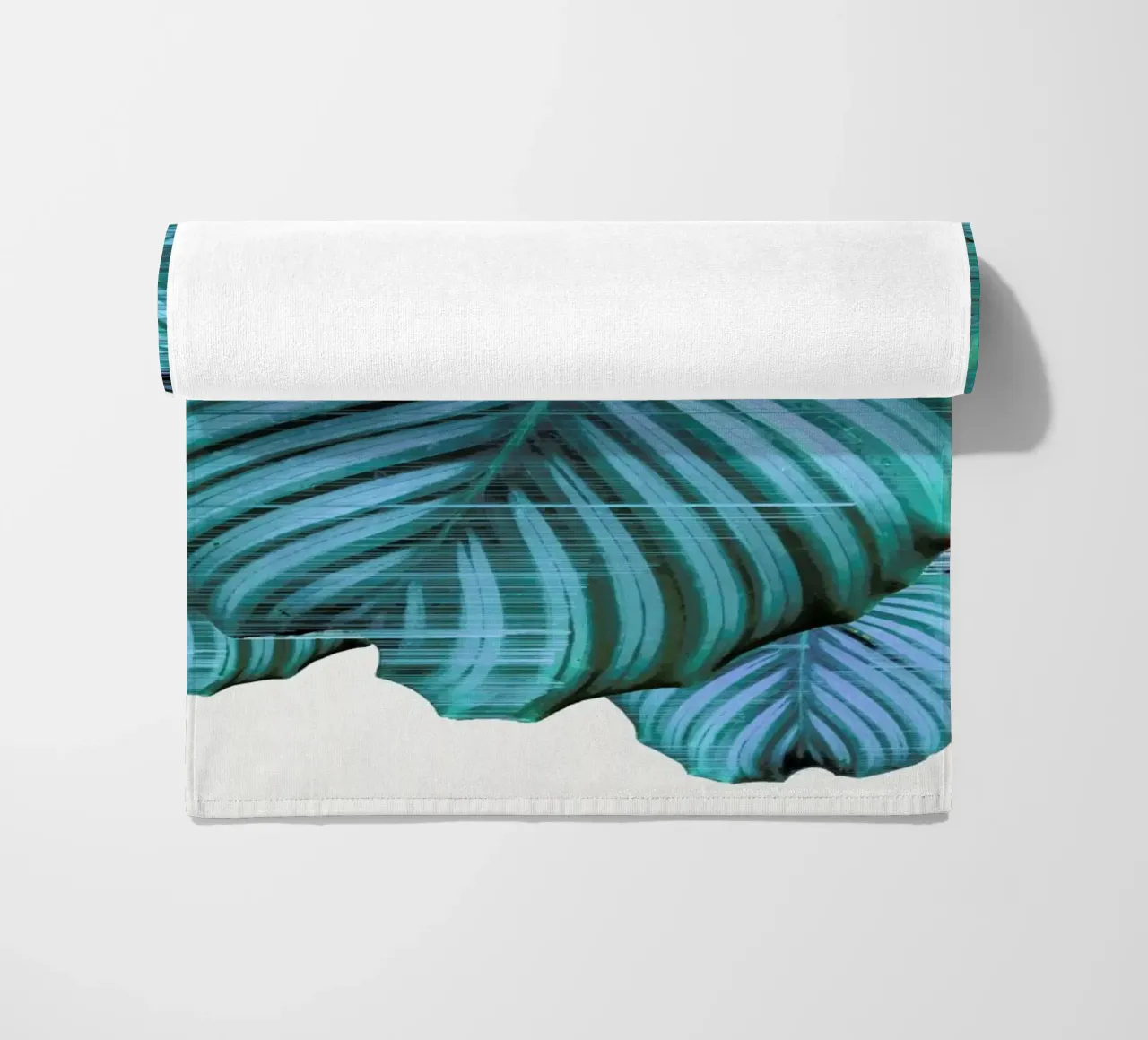 Fast Calatea telo mare da Adam Priester