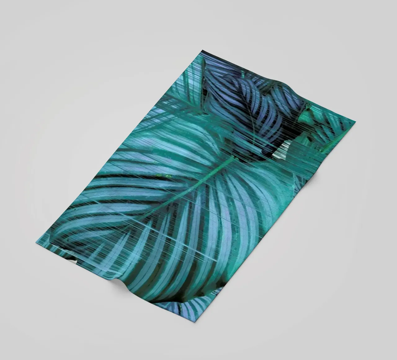 Fast Calatea telo mare da Adam Priester