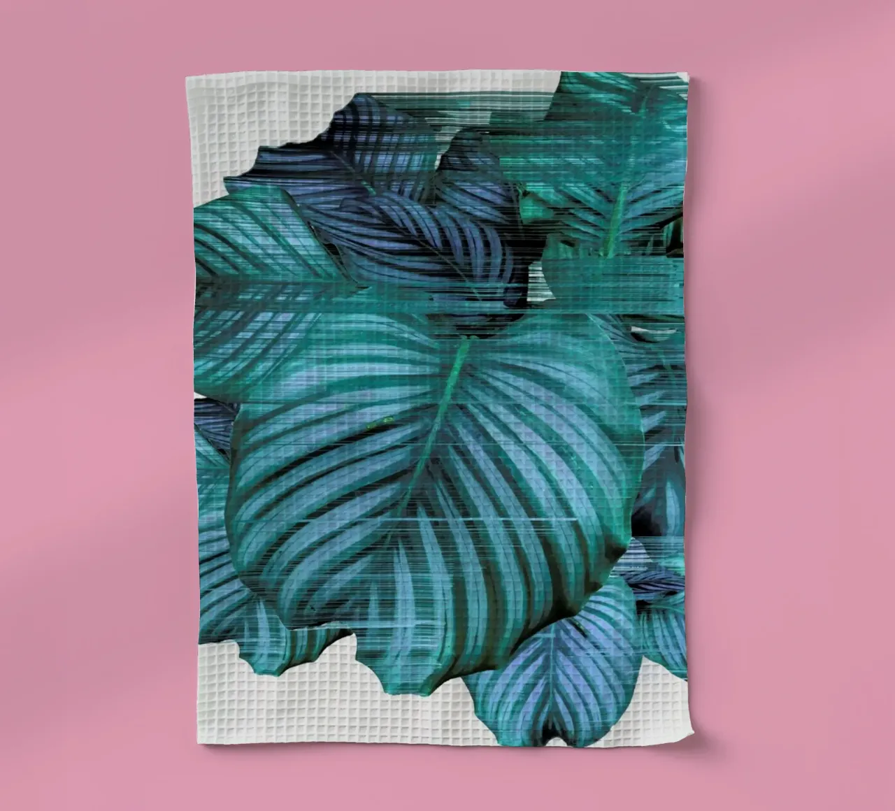 Fast Calatea canovaccio da cucina da Adam Priester