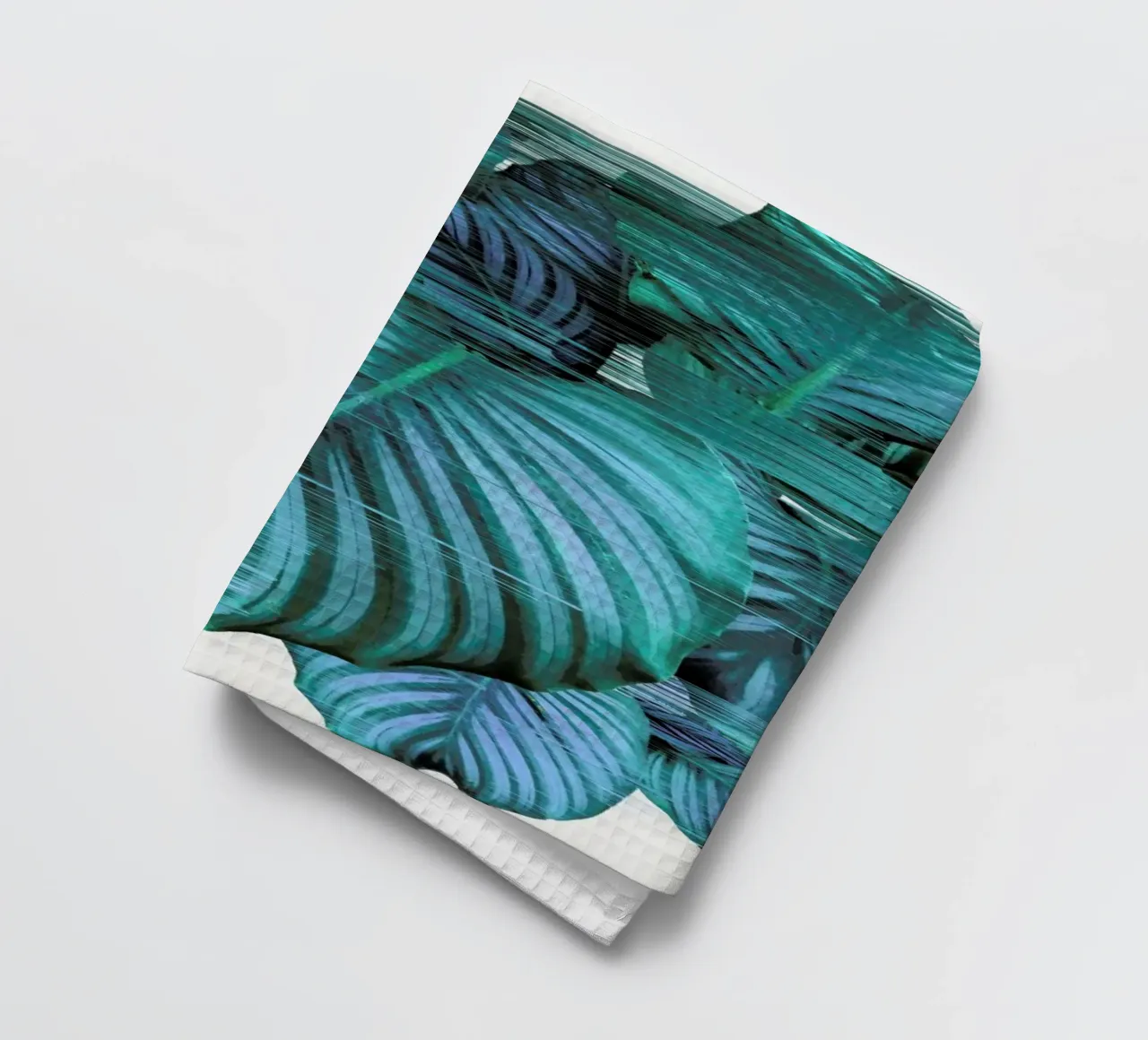 Fast Calatea canovaccio da cucina da Adam Priester