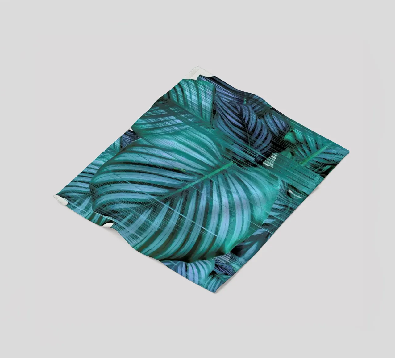 Fast Calatea coperta in pile da Adam Priester