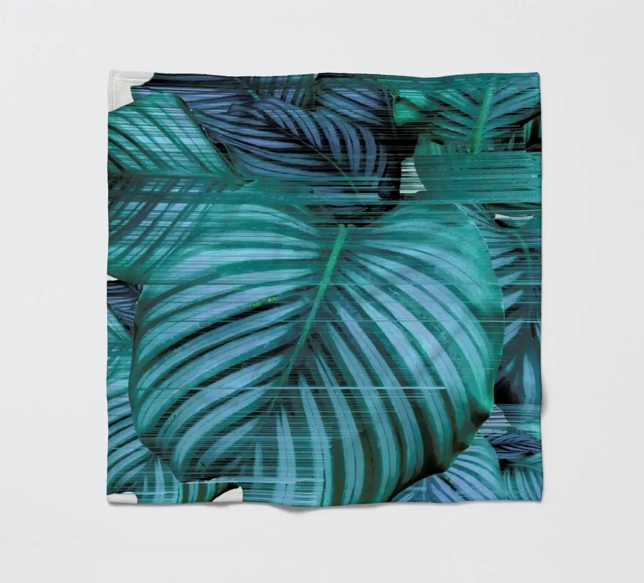 Fast Calatea coperta in pile da Adam Priester