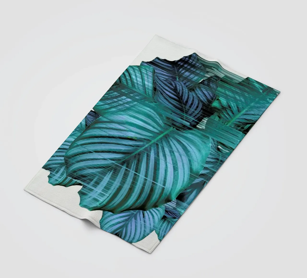 Fast Calatea coperta in pile da Adam Priester