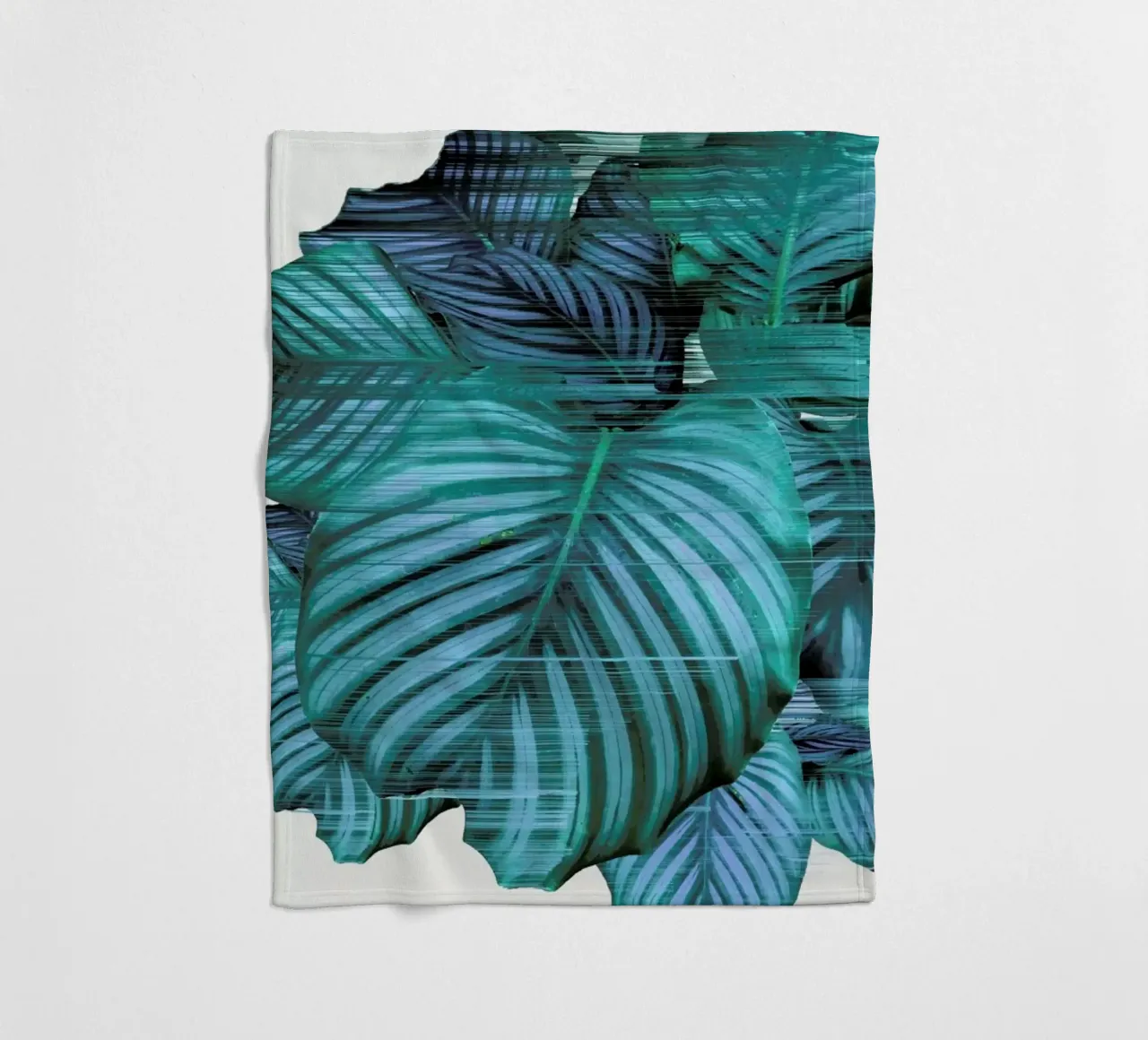 Fast Calatea coperta in pile da Adam Priester