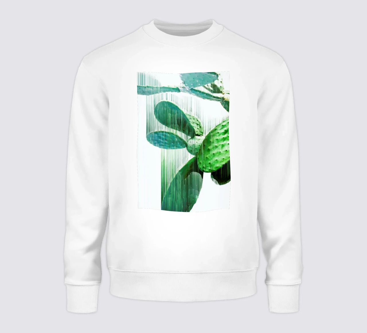 The Speed Of Cactus felpa da Adam Priester
