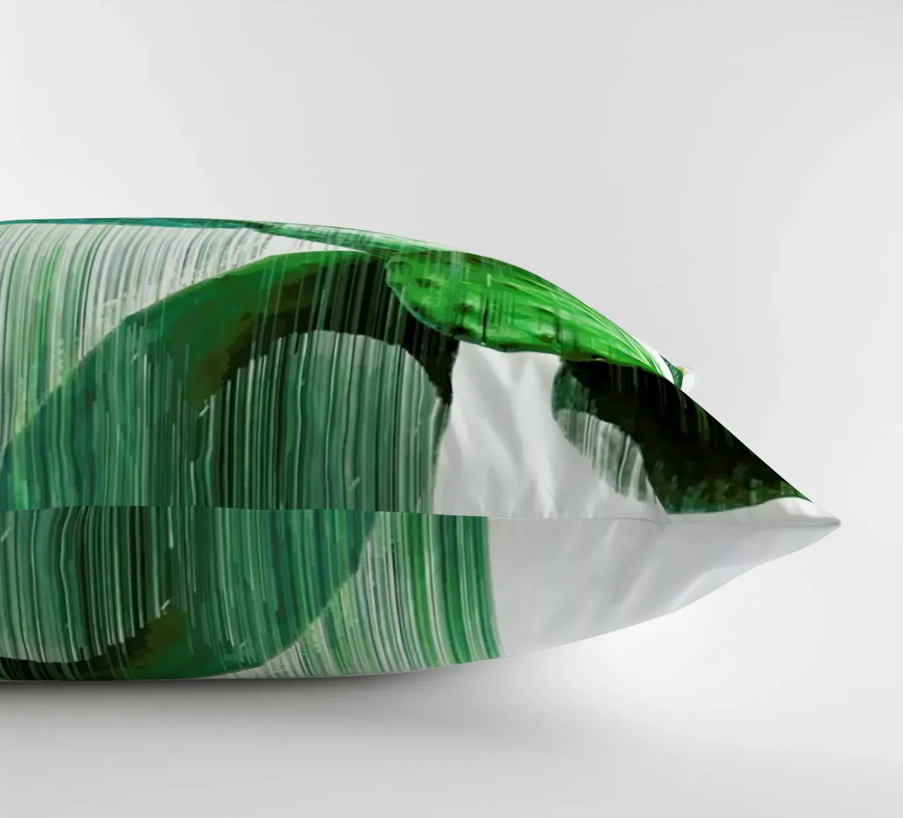 The Speed Of Cactus cuscino da Adam Priester