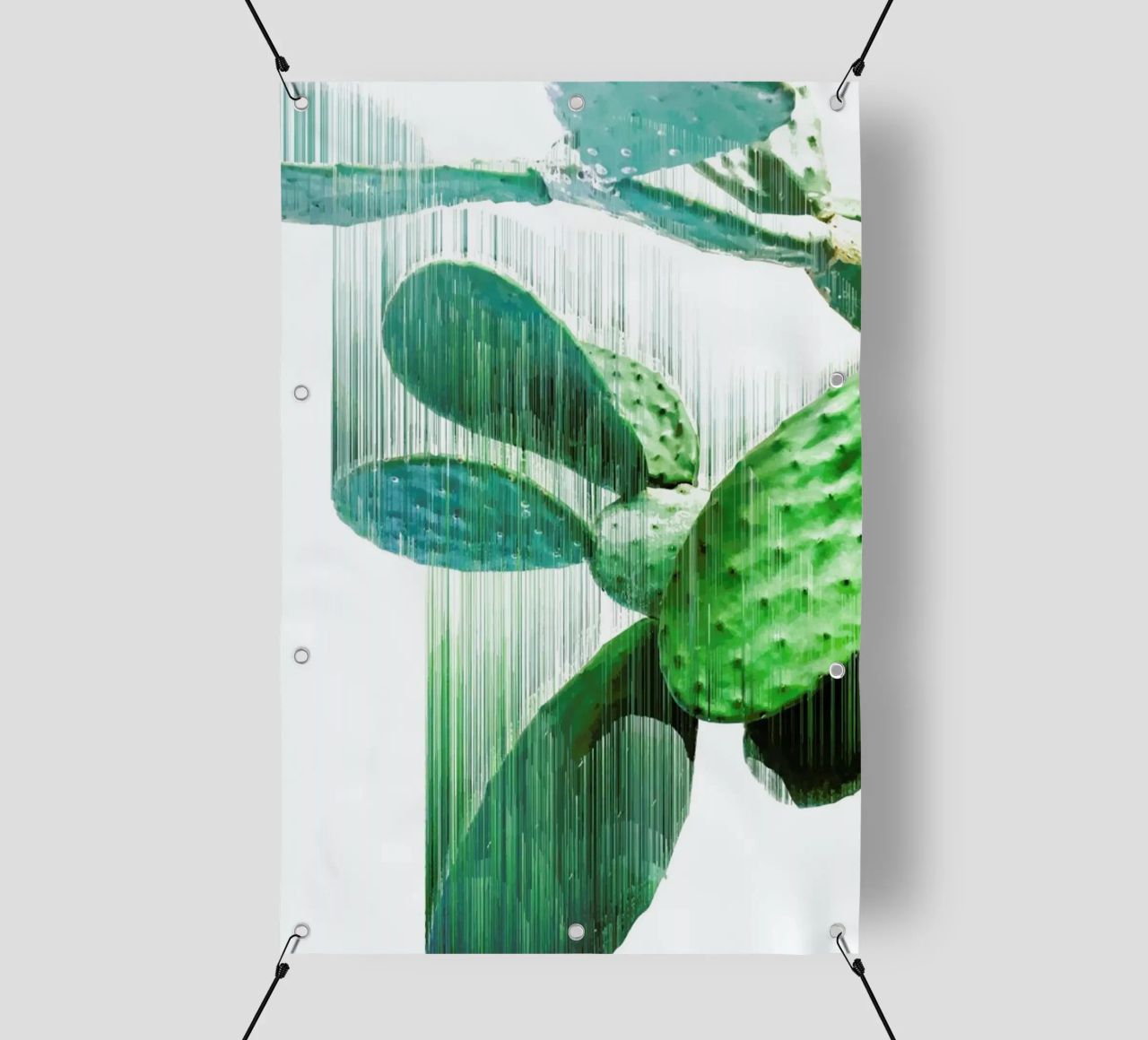 The Speed Of Cactus telo in pvc da Adam Priester