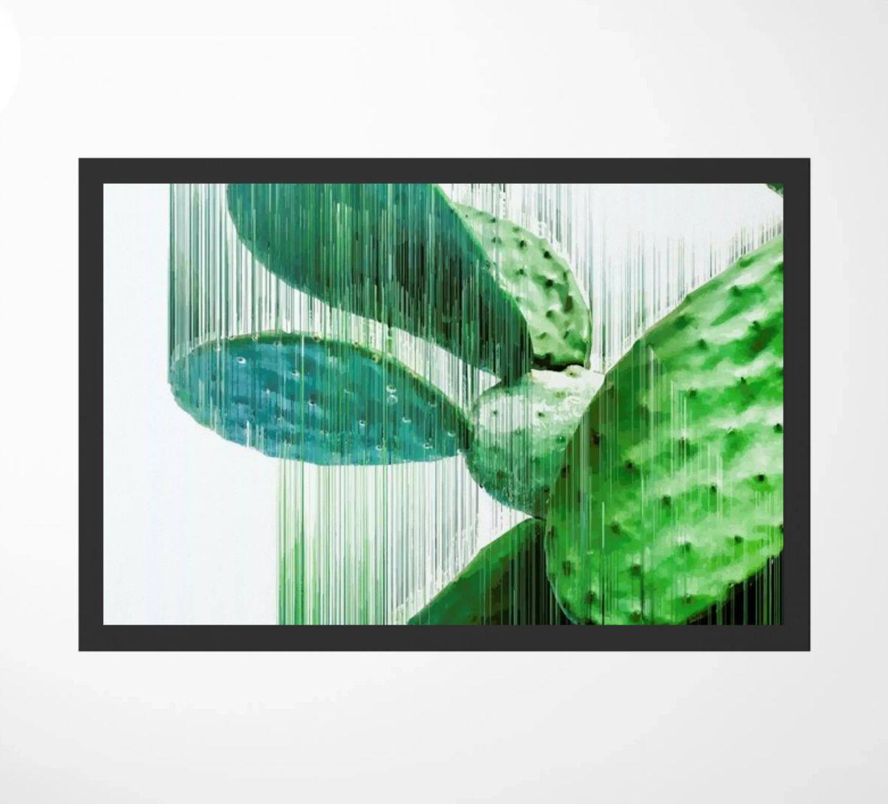 The Speed Of Cactus zerbino da Adam Priester