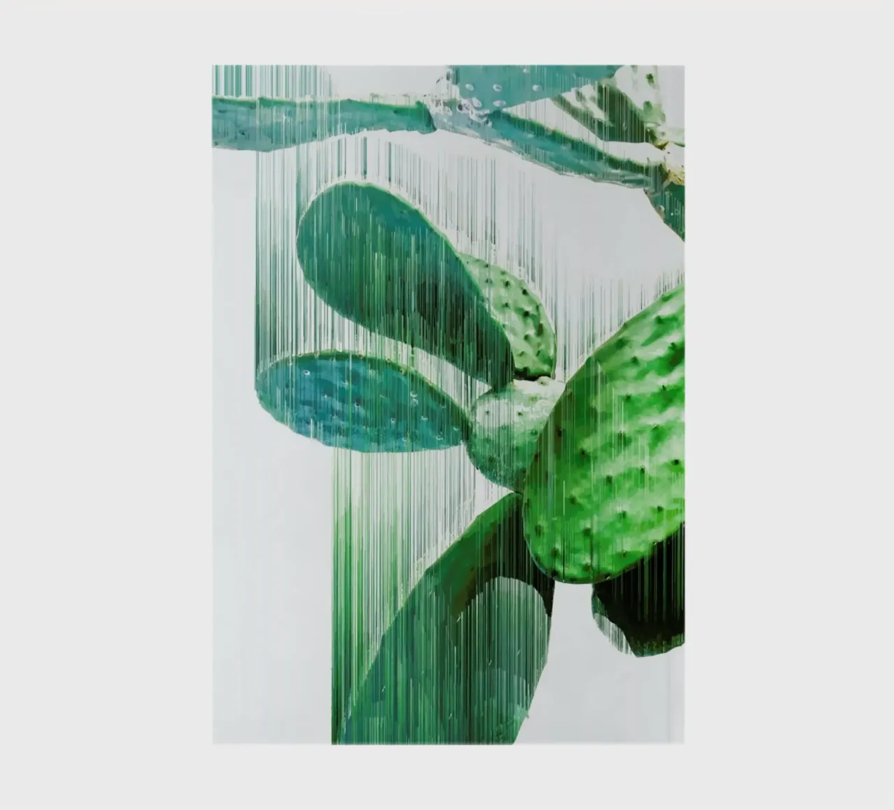 The Speed Of Cactus diario da Adam Priester