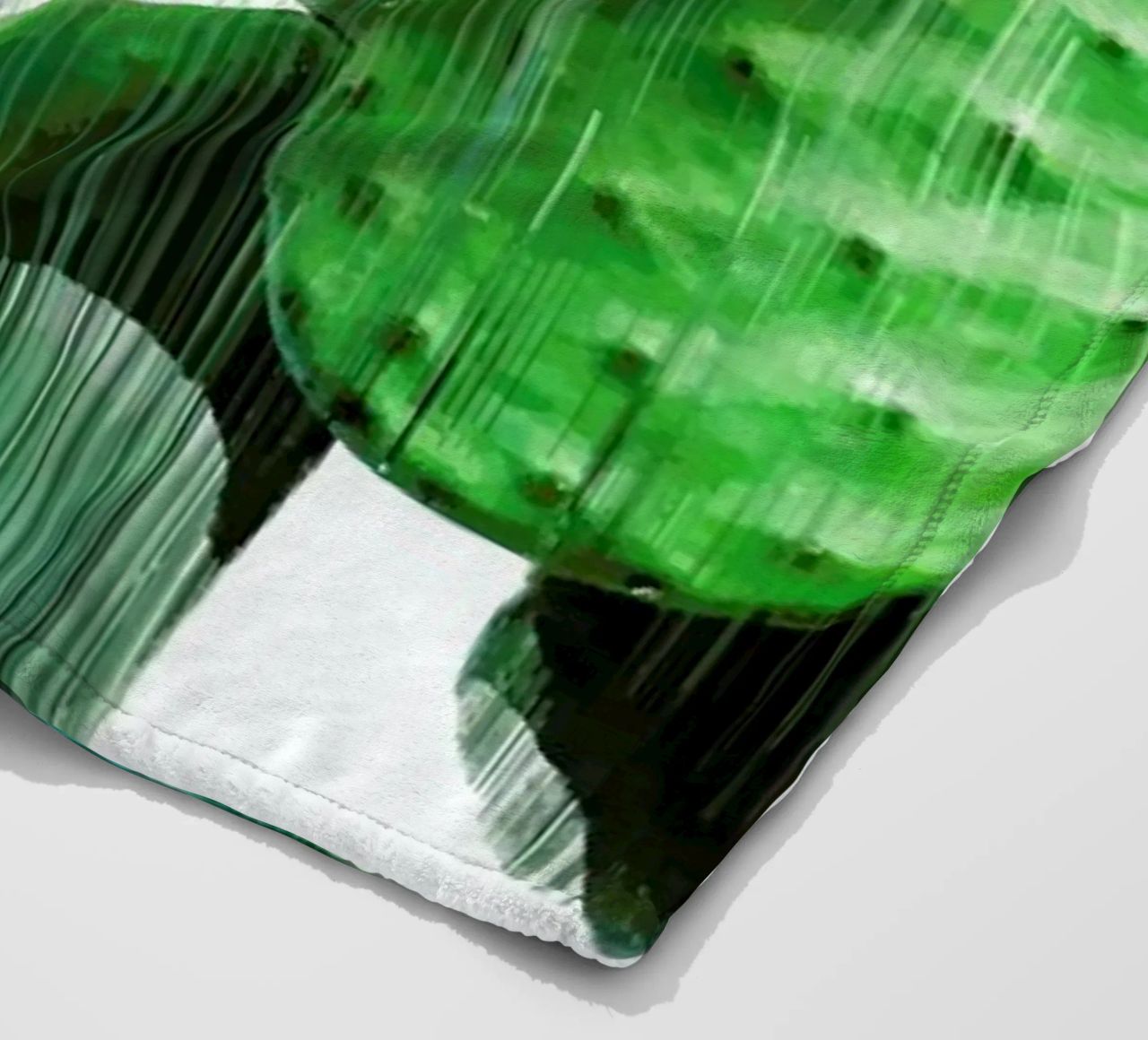 The Speed Of Cactus coperta in pile da Adam Priester