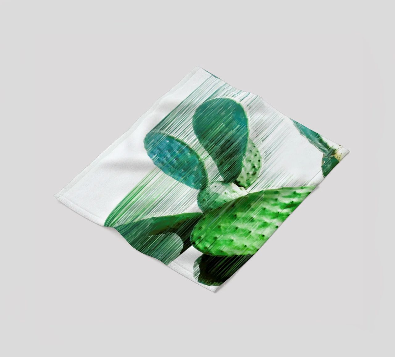 The Speed Of Cactus coperta in pile da Adam Priester