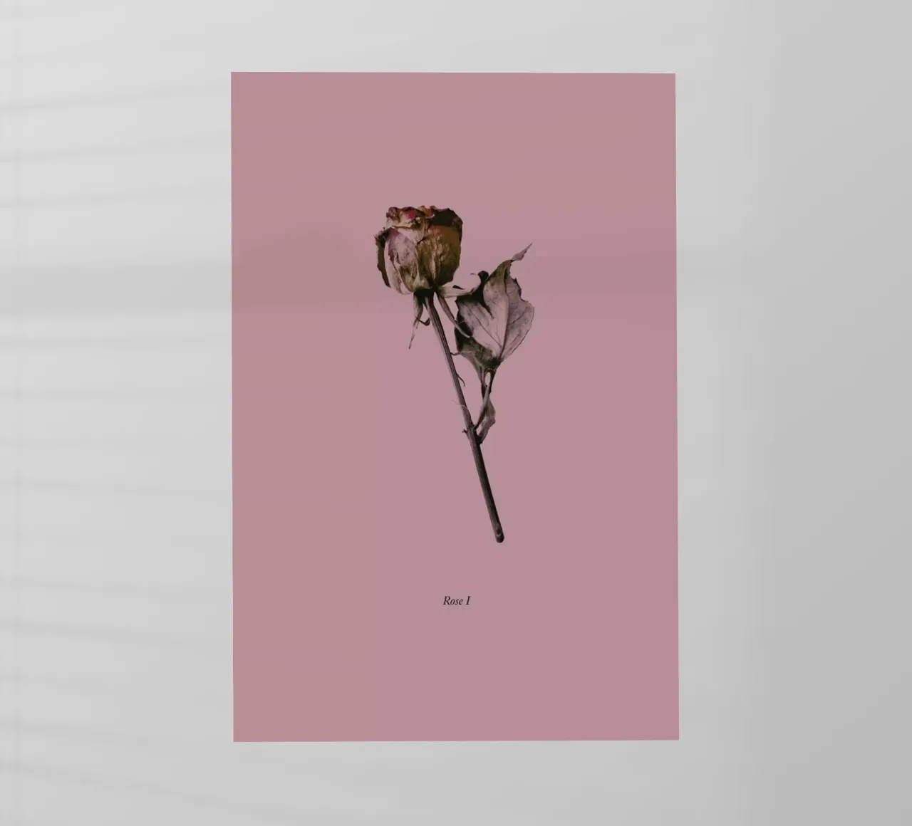 Botanico III pellicola backlit da Elena Veronese