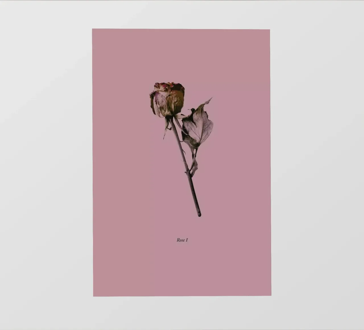 Botanico III pellicola backlit da Elena Veronese