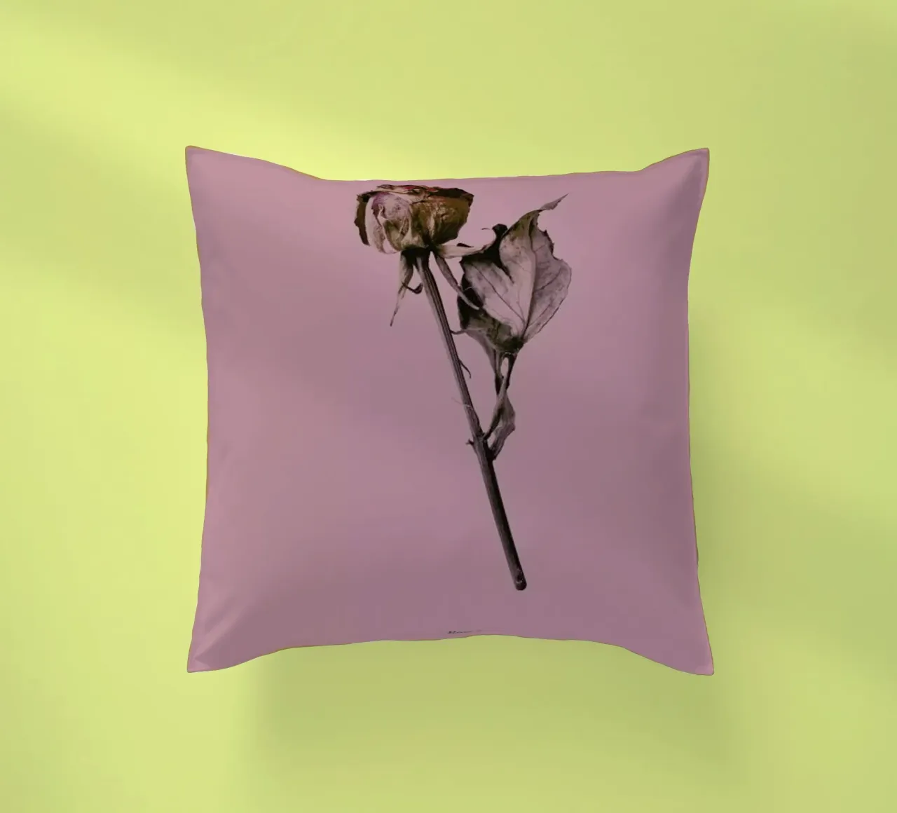 Botanico III cuscino da Elena Veronese