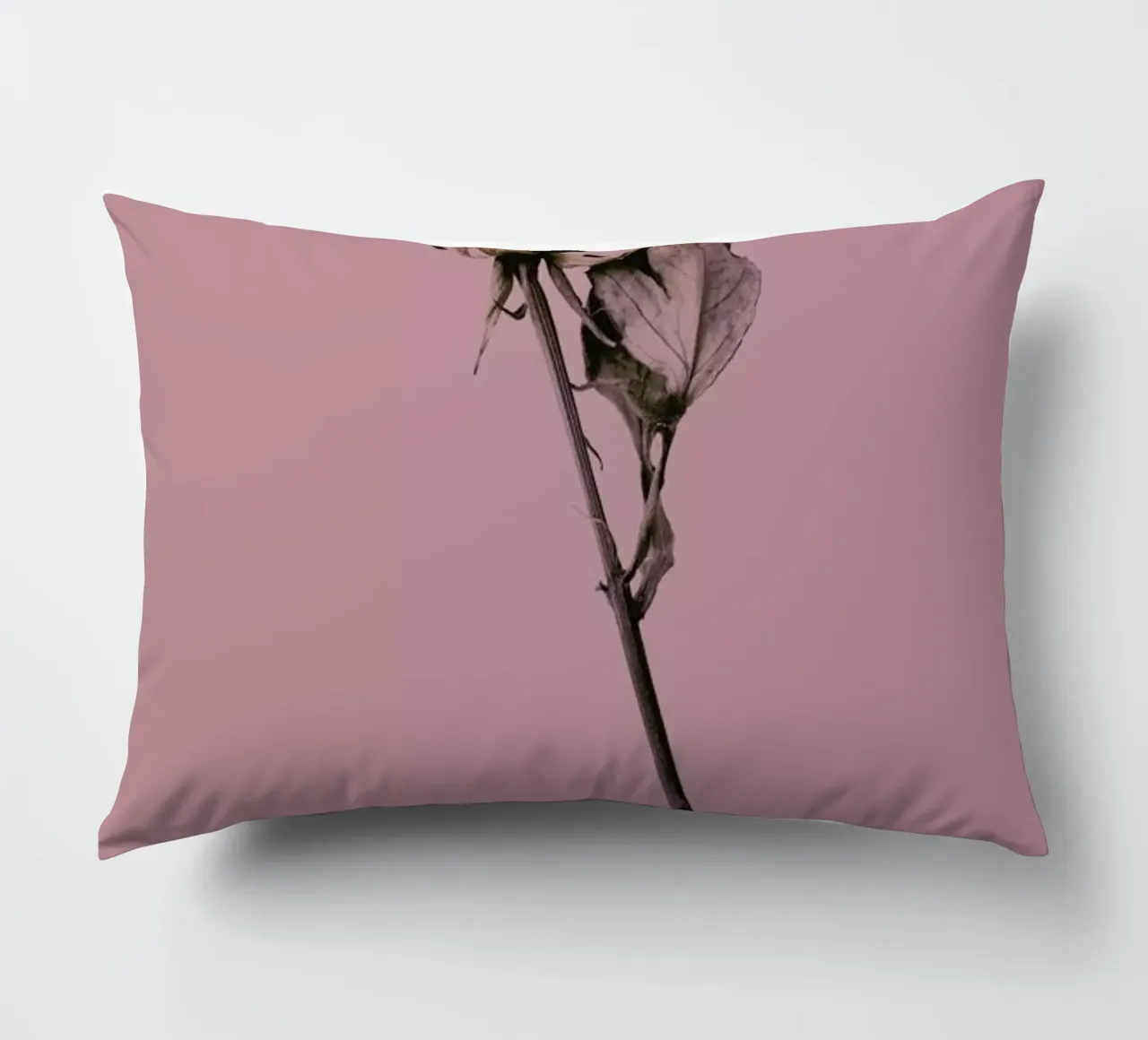 Botanico III cuscino da Elena Veronese