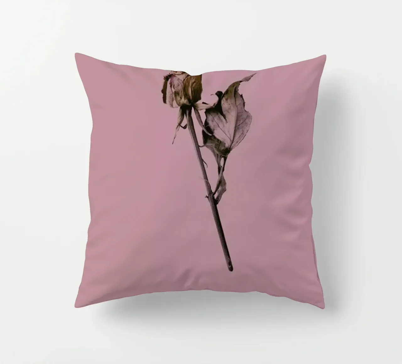 Botanico III cuscino da Elena Veronese