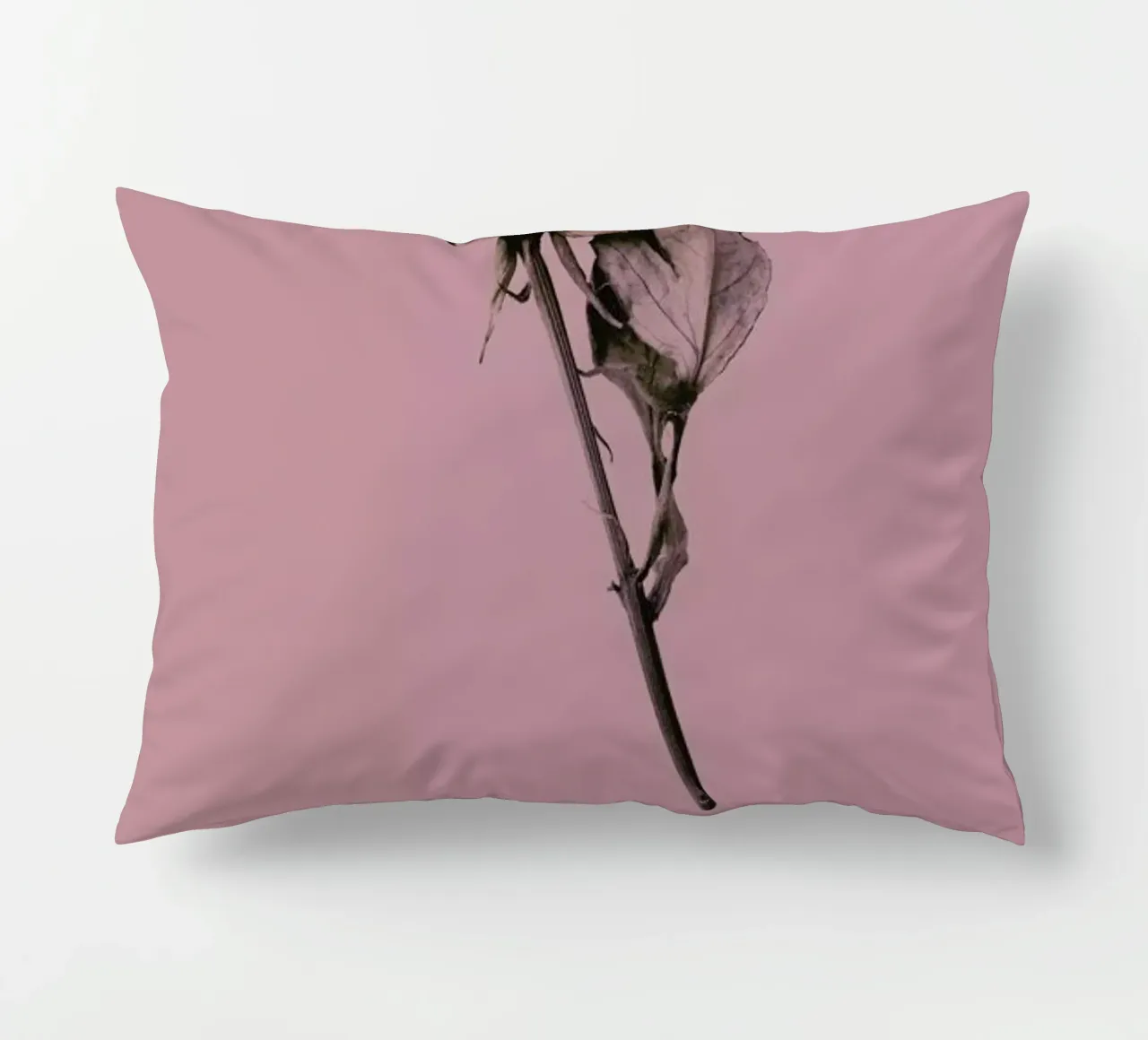 Botanico III cuscino da Elena Veronese