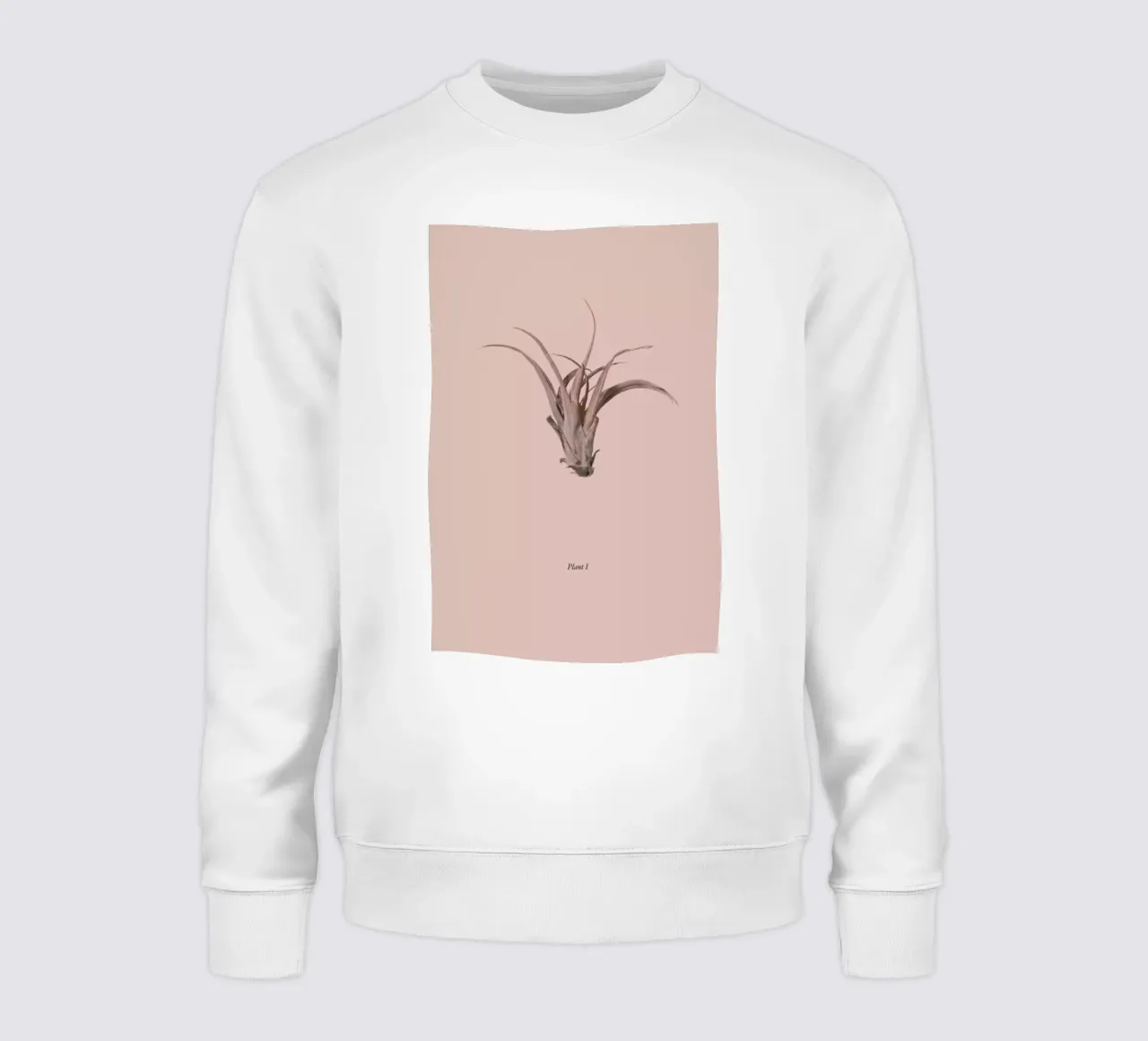 Botanico V sweatshirt van Elena Veronese