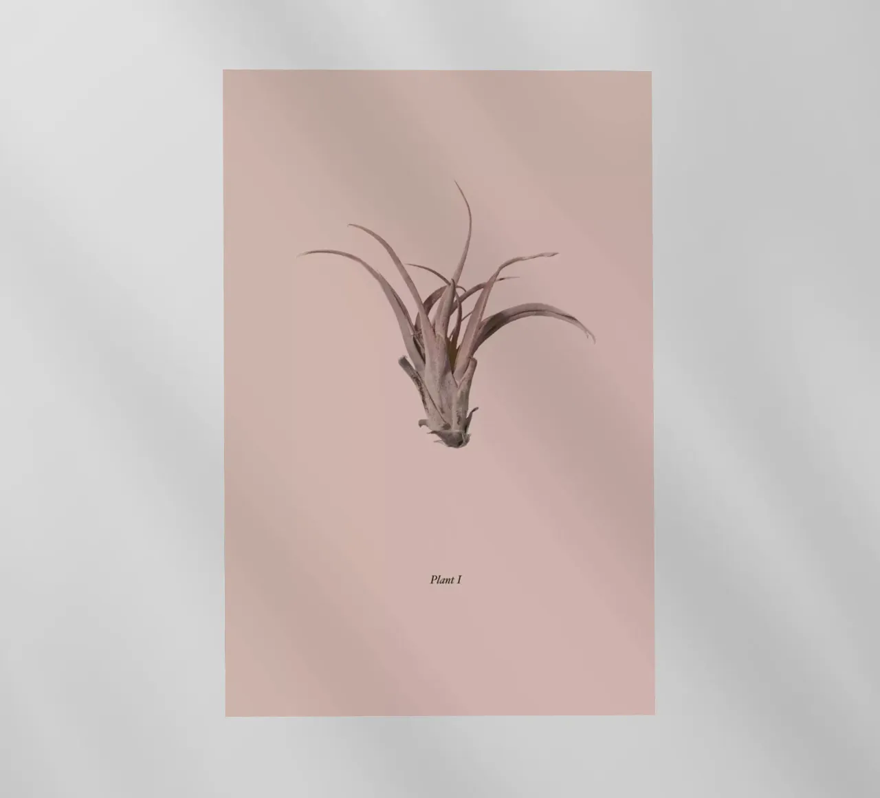 Botanico V pellicola backlit da Elena Veronese