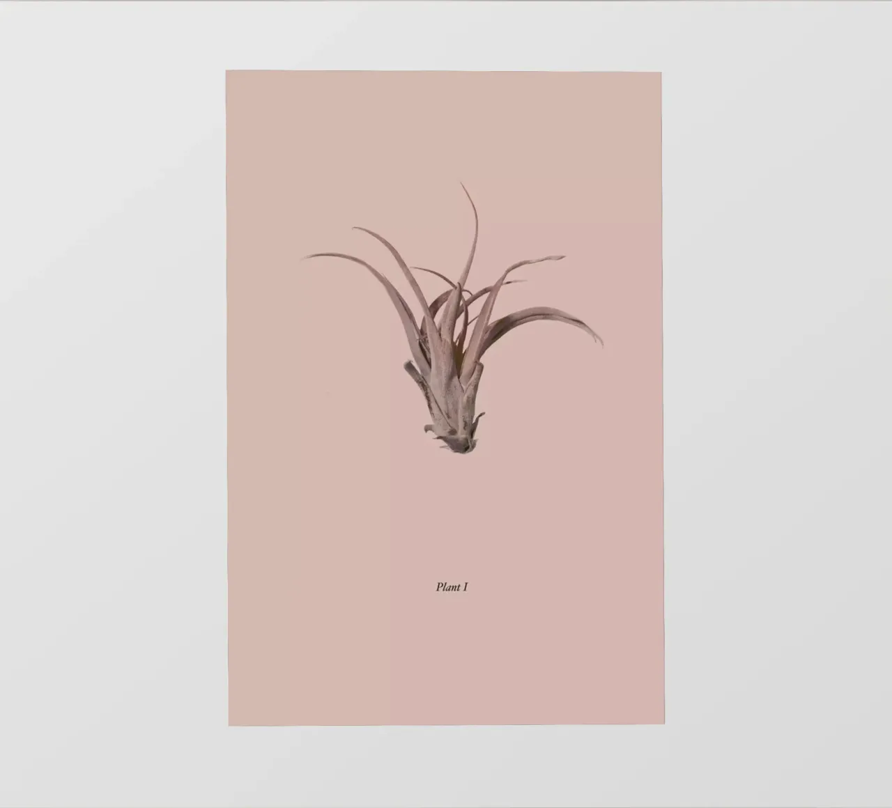 Botanico V telo in pvc da Elena Veronese