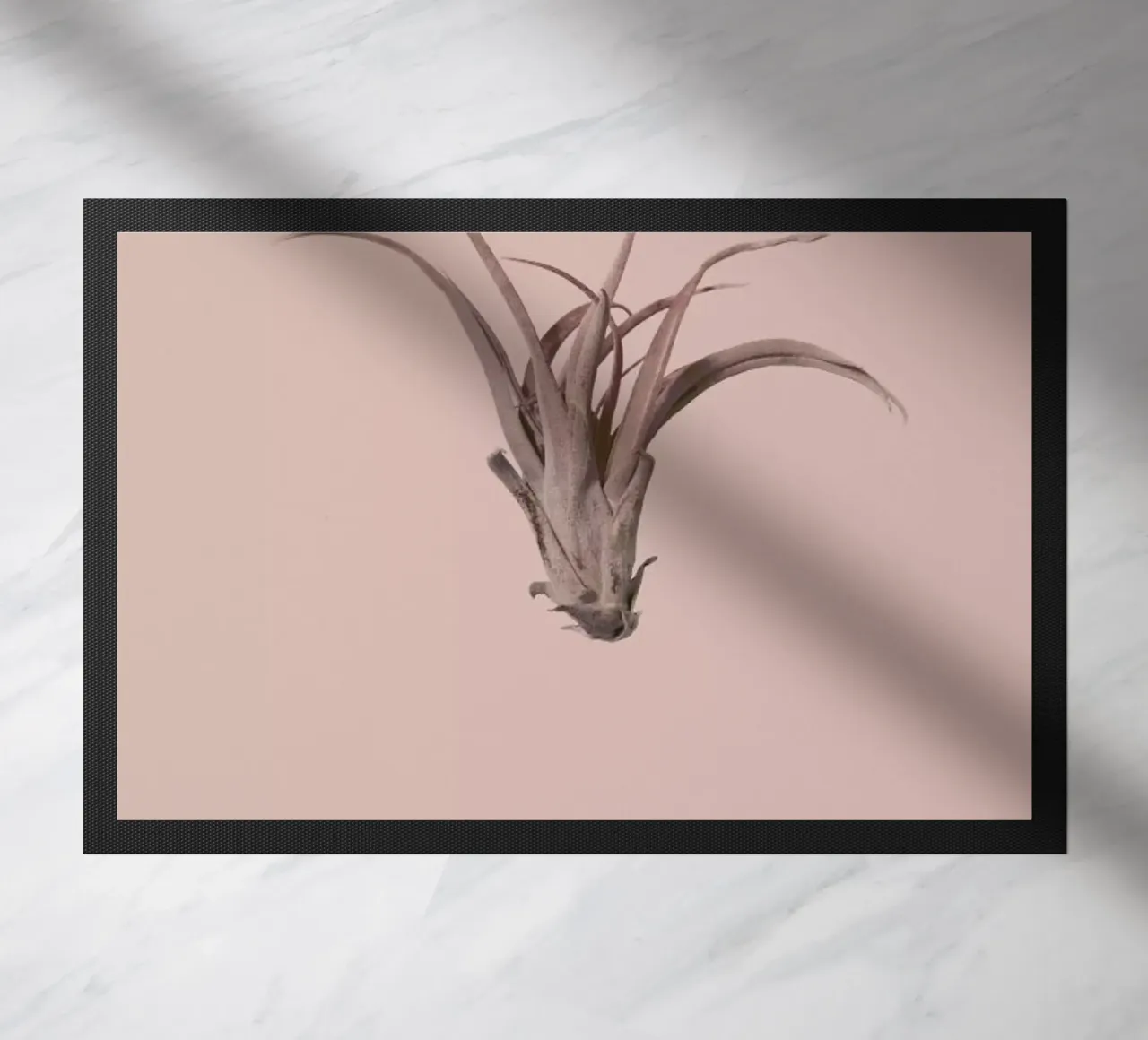 Botanico V zerbino da Elena Veronese